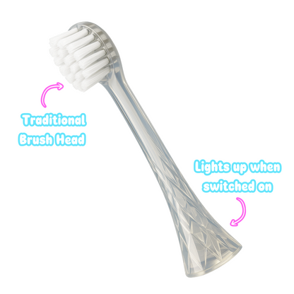 Dino Deluxe Bundle (worth over £100)